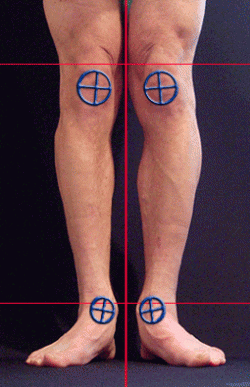 foot ankle knee hip function