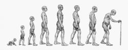 Can posture be changed or controled?